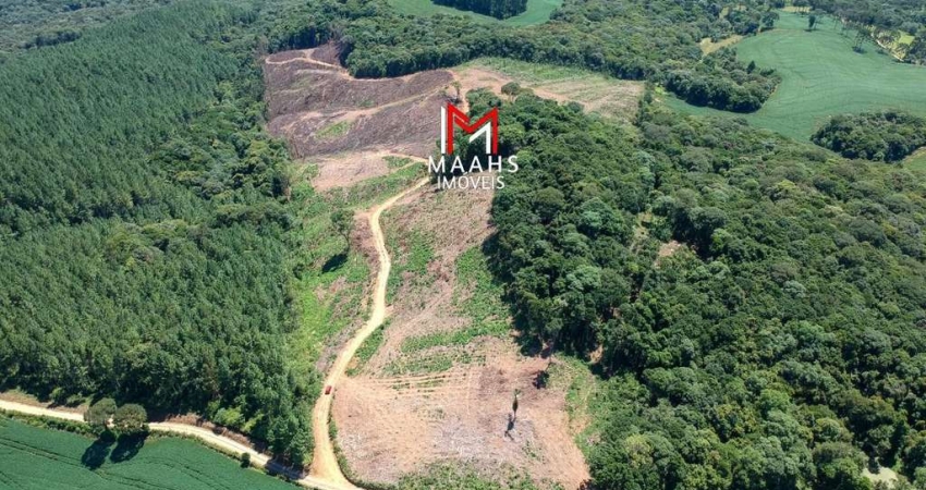 Terreno à venda na Zona Rural, Piên 