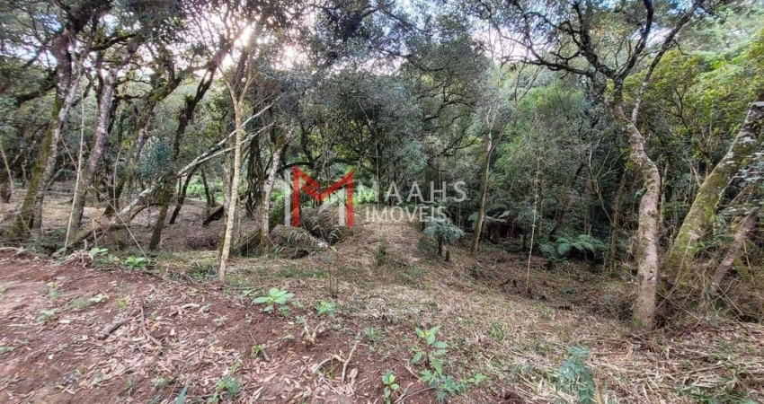 Terreno à venda no Alpino, São Bento do Sul 