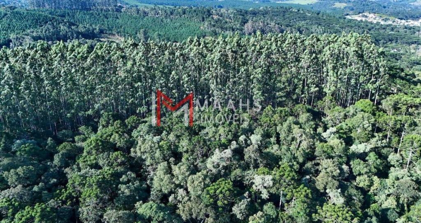 Terreno à venda no Industrial Sul, Rio Negrinho 