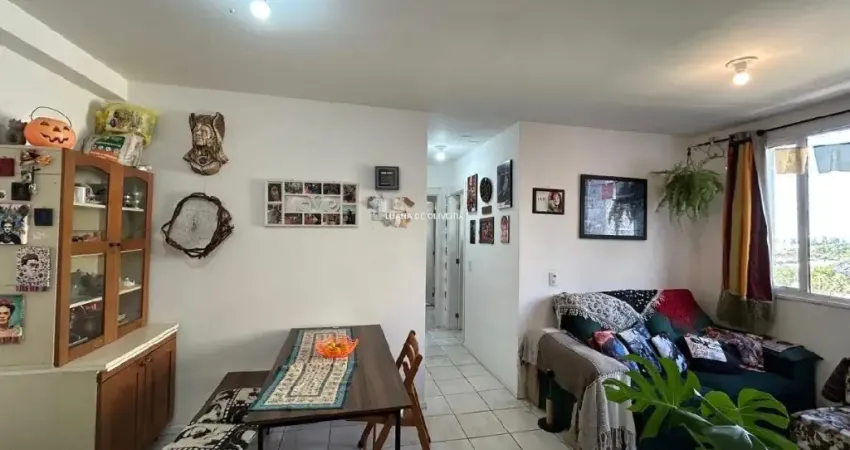 Apartamento 3 dormitórios no Terra Bela na Ary Tarragô