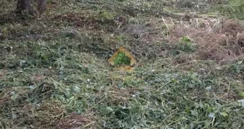 Terreno à venda em Ubatumirim, Ubatuba 