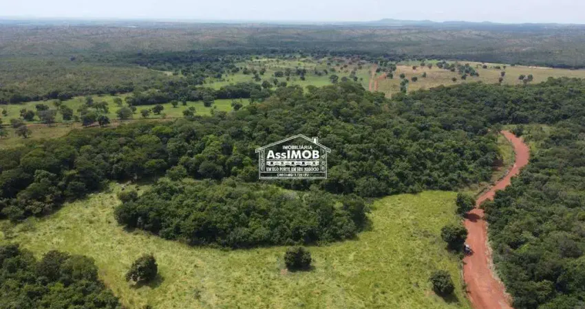 FAzenda de agropecuária, 500HA, com poço artesiano e nascentes, sede grande, currais, energia, Paracatu-MG