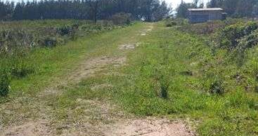 50m do mar. Terreno escriturado de 390m² em frente a restinga. Beira Mar. Frente ao acesso a praia