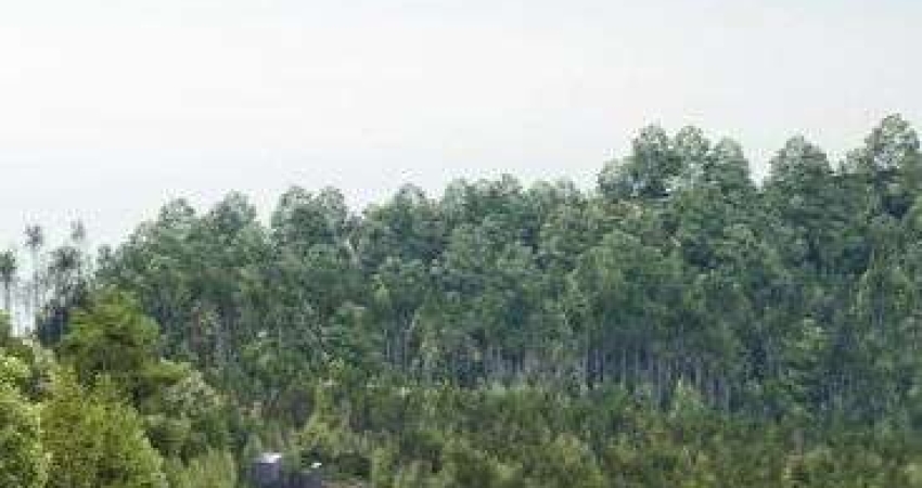 Lote - Seu lugar nas montanhas está aqui! Lotes exclusivos em Pedra Azul | ES
