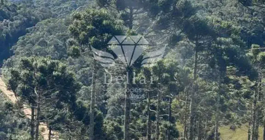 Terreno à venda no Invernadinha, Rancho Queimado 