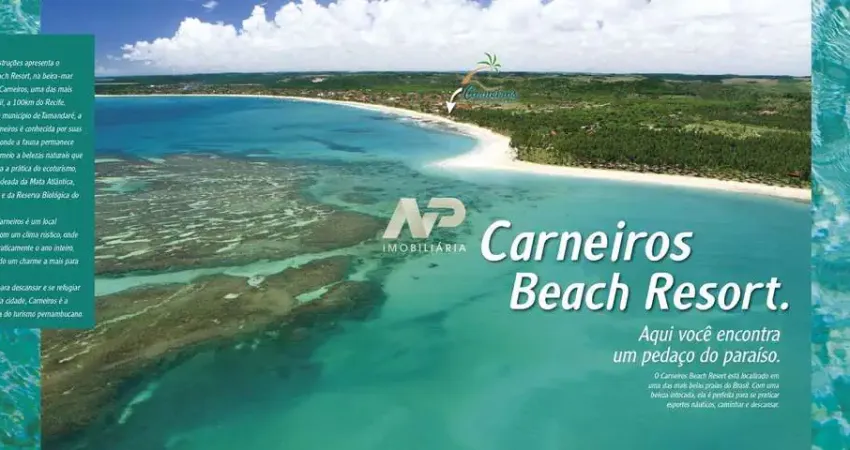 Carneiros beach resort: um paraíso à beira-mar em tamandaré