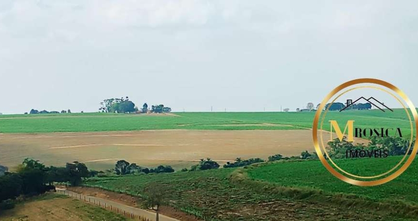 Sítio para Venda em Porto Feliz, TABARRO, 3 dormitórios, 1 banheiro, 2 vagas