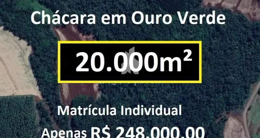 Chácara 20.000m entre ouro verde e concórdia do oeste matrícula individual com água e luz e cercada