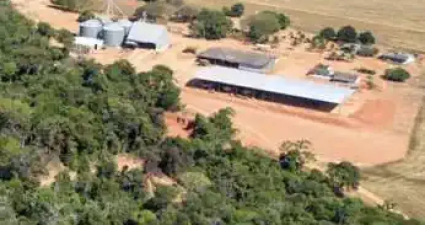 Fazenda a venda dupla Aptidão Campo Novo dos Parecis
