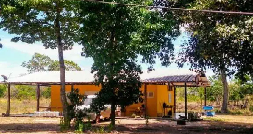 Fazenda 250 Hectares, dupla aptidão, Nossa Senhora do Livramento - MT