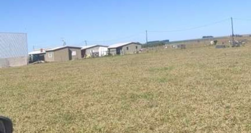 Fazenda à venda na Área Rural de Rondonópolis, Rondonópolis 