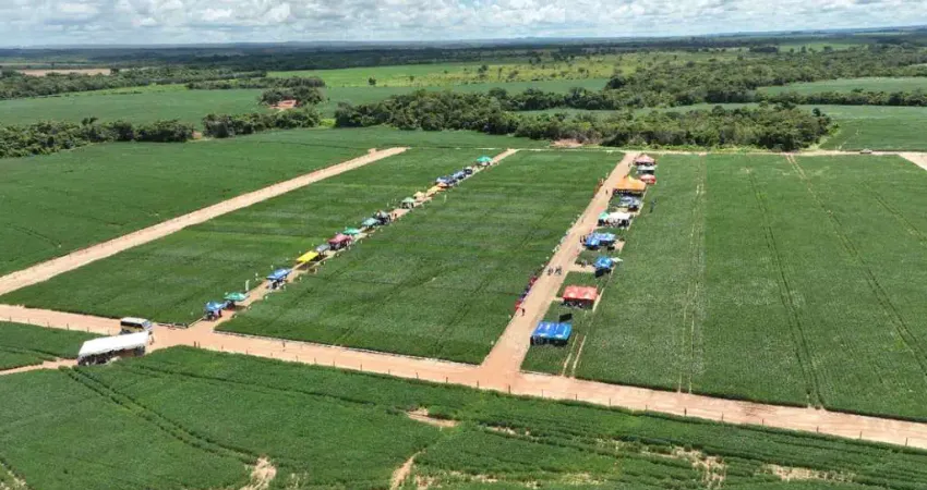 Fazenda 7817 Hectares Região de Paranatinga Plantando