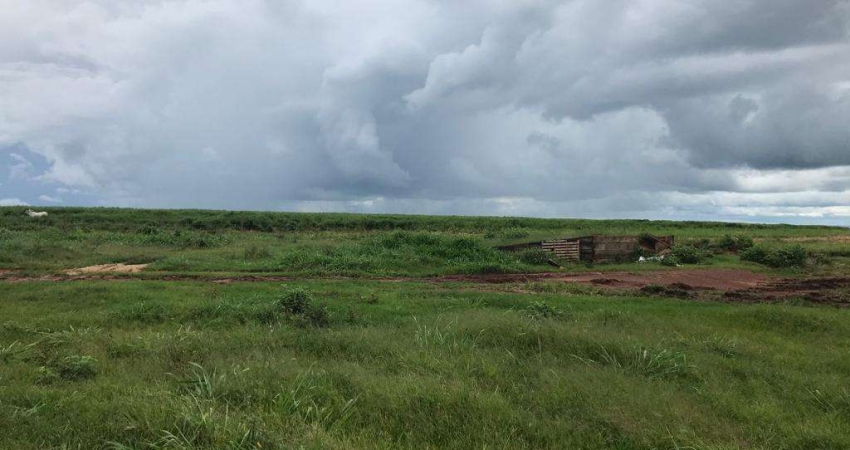 Fazenda pra venda ou arrendamento em Primavera do Leste MT