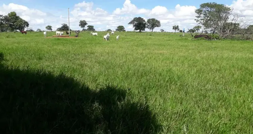Fazenda à venda no Centro, Novo São Joaquim 