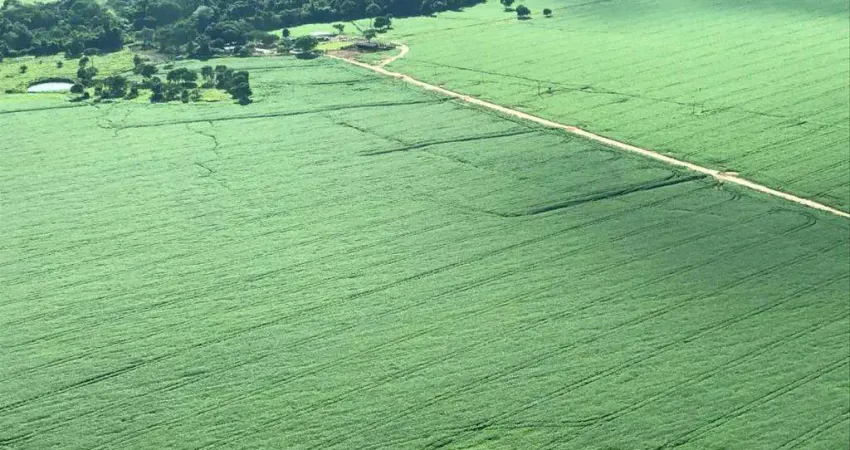 Fazenda à venda no Centro, Gaúcha do Norte 