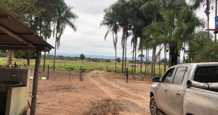 Fazenda à Venda  110 Hectares | Exclusiva para Pecuária | Próxima de