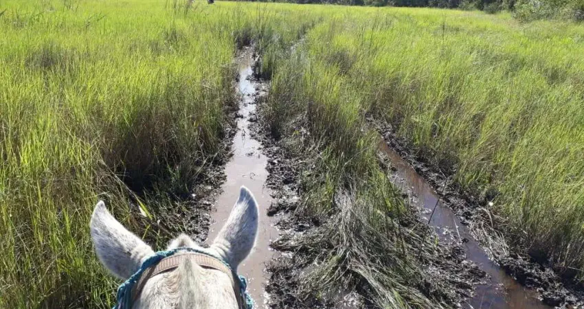 Fazenda São Sebastião  3.418 Hectares | Exclusiva para Pecuária | Po