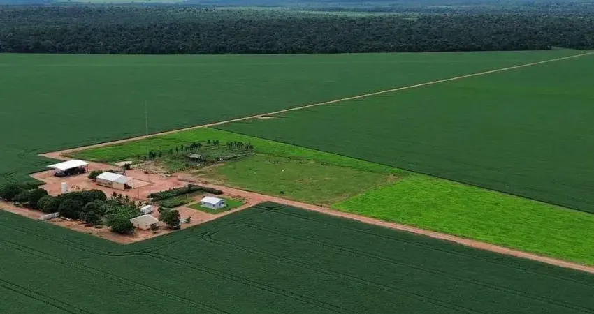 Fazenda à venda no Centro, Gaúcha do Norte 