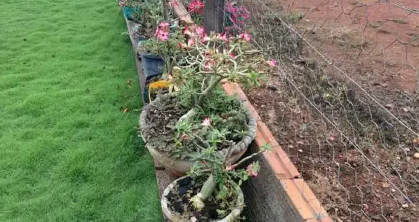 Fazenda à venda no Centro, Comodoro 