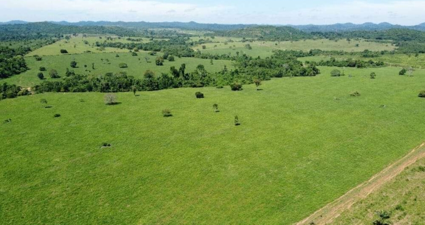 Fazenda à venda no Centro, Juara 