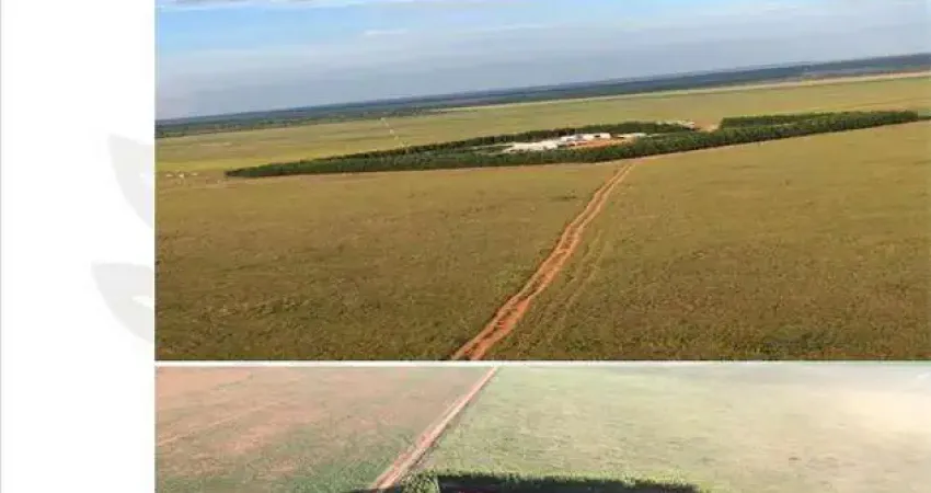 Fazenda à venda no Centro, Gaúcha do Norte 
