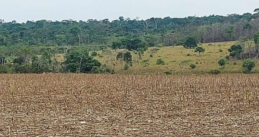 Fazenda à venda na Zona Rural, Matupá 