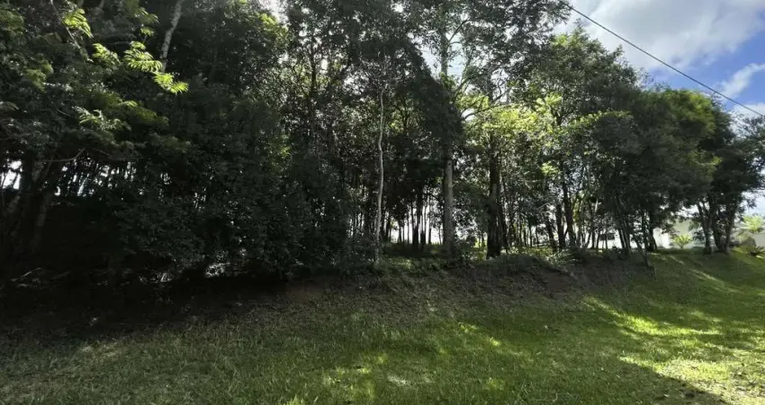 Terreno em condomínio fechado à venda na Avenida Leo Kraether, 1566, Country, Santa Cruz do Sul