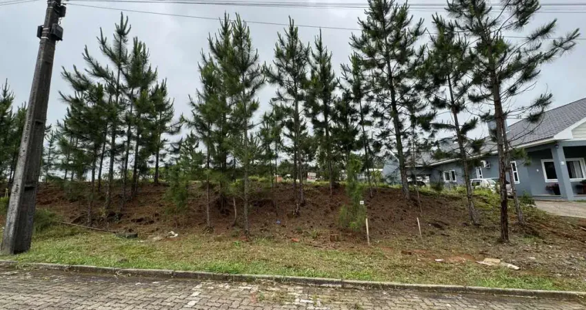Terreno à venda na Avenida Leo Kraether, 2700, Country, Santa Cruz do Sul