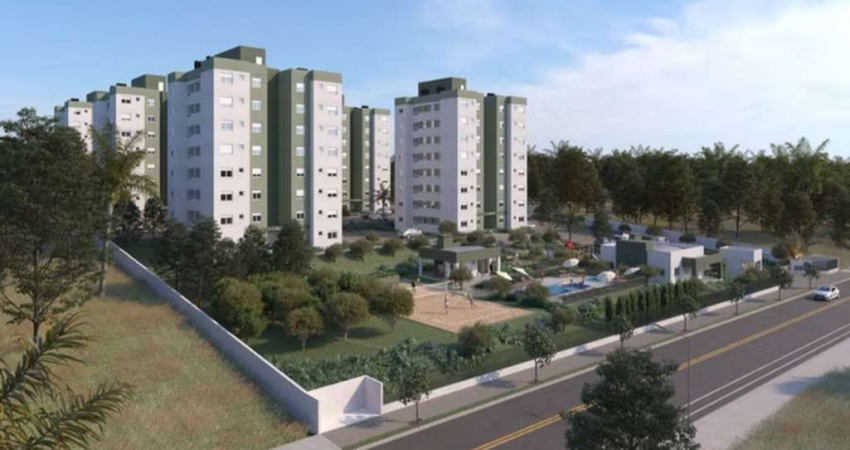 Parque das Oliveiras, lançamento no bairro São João