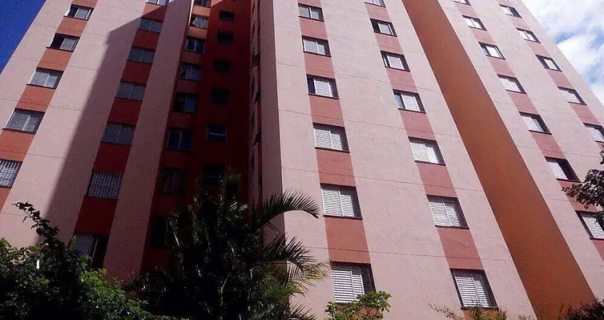 Apartamento com 2 quartos à venda no Jardim Eledy, São Paulo