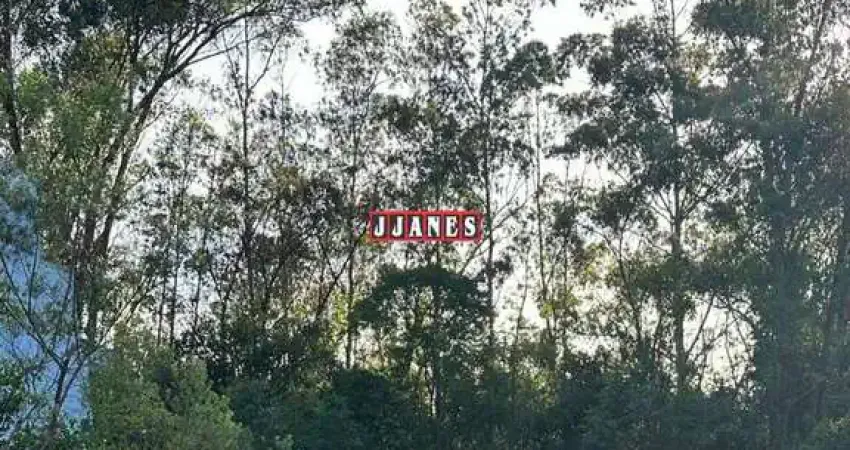 Terreno em condomínio fechado à venda na Tapir Rocha , 8500, 628, Condomínio Buena Vista, Viamão