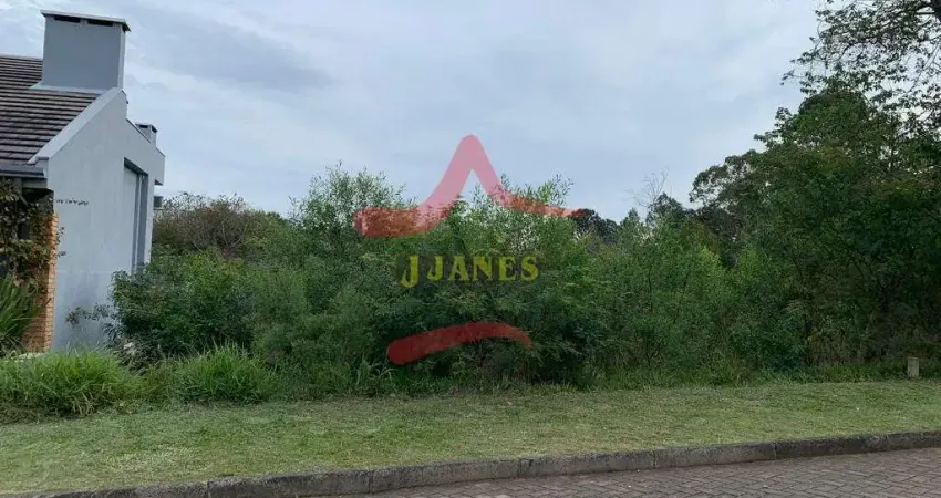 Terreno em condomínio fechado à venda na Tapir Rocha , 8500, 298, Condomínio Buena Vista, Viamão