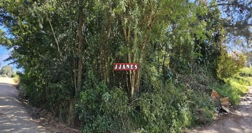 Terreno à venda na Cel Justa da Rocha, Esquina do Correio Rural, 58, Tarumã, Viamão