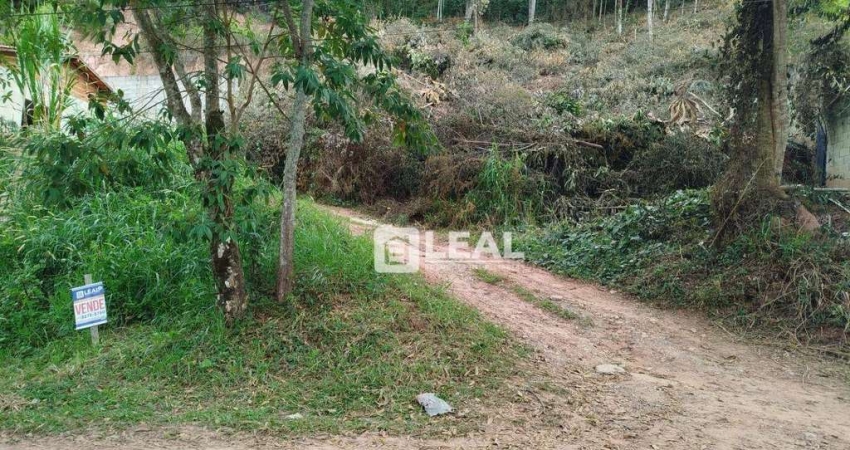 Terreno à venda, 1200 m² por R$ 52.000,00 - Pitangueiras - Matias Barbosa/MG