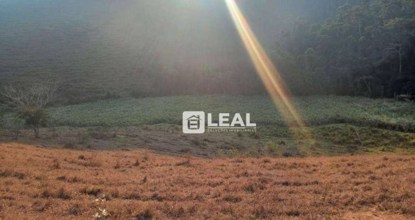 Glebas à venda, 20000 m² por R$ 350.000 cada - Zona Rural - Simão Pereira/MG