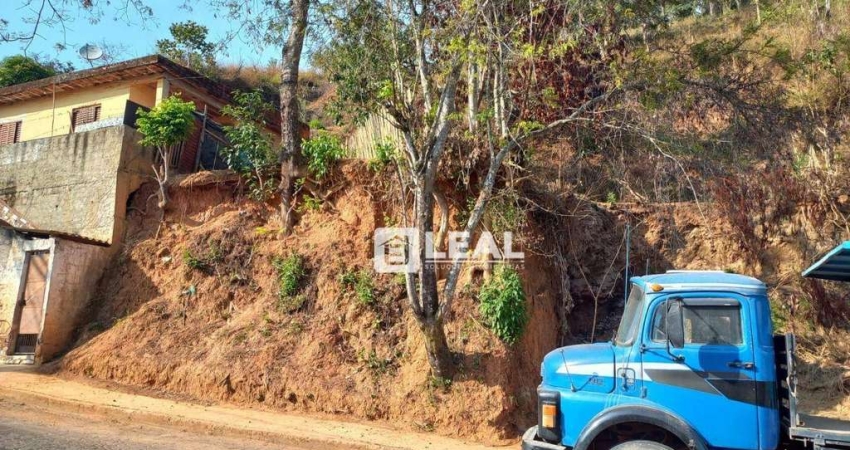 Terreno à venda, 300 m² por R$ 49.000,00 - Santa Terezinha  - Matias Barbosa/MG