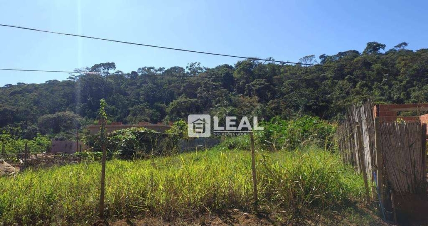 Terreno à venda, 506 m² por R$ 100.000 - Santa Terezinha - Matias Barbosa/MG