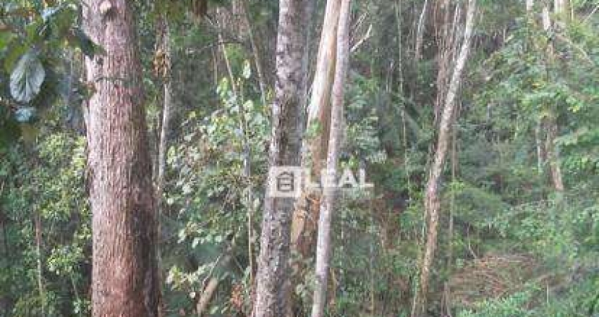 Terreno à venda, 1020 m² por R$ 85.000,00 - Pitangueiras - Matias Barbosa/MG