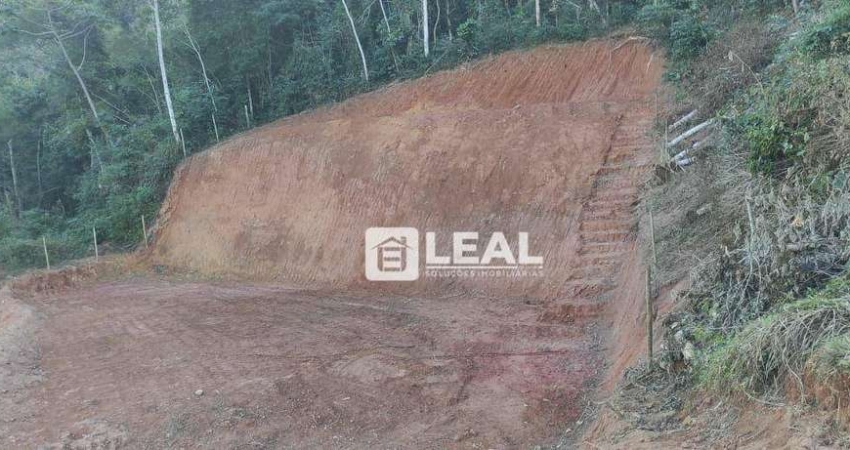 Terreno à venda, 2632 m² por R$ 88.000,00 - Pitangueiras - Matias Barbosa/MG
