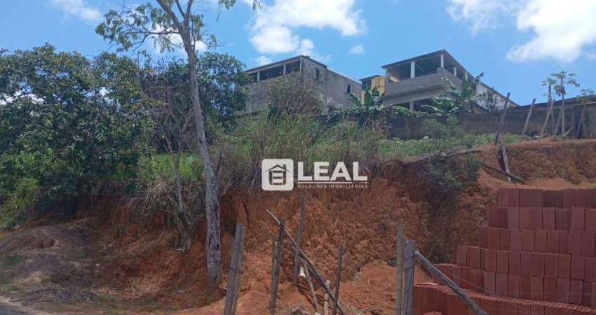 Terreno à venda, 227 m² por R$ 100.000,00 - Soledade II  - Matias Barbosa/MG