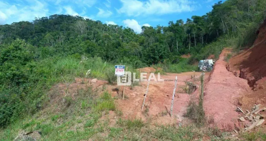 Terreno à venda, 1233 m² por R$ 55.000,00 - Pitangueiras - Matias Barbosa/MG