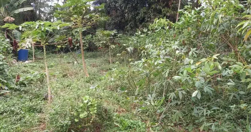 Chácara / sítio à venda na Estrada Paiol, Recanto Campo Belo, São Paulo