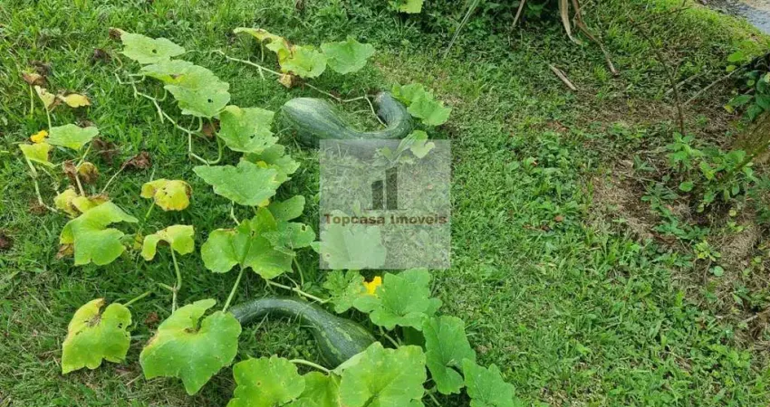 Chácara / sítio com 5 quartos para alugar na Estrada do Jusa, 13, Parelheiros, São Paulo
