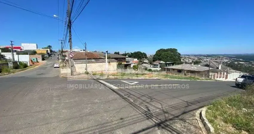 Terreno comercial para alugar na RUA AUGUSTO RIBAS 802, 967, Nova Rússia, Ponta Grossa