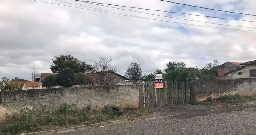 Terreno comercial para alugar na RUA AUGUSTO RIBAS 802, Nova Rússia, Ponta Grossa
