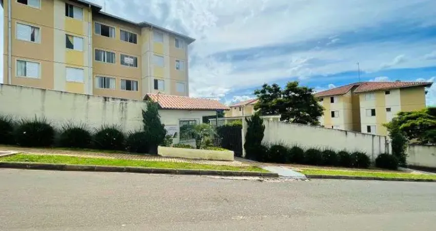 Apartamento com 2 quartos para alugar na Rua Leopoldo Miques, 111, Estrela, Ponta Grossa