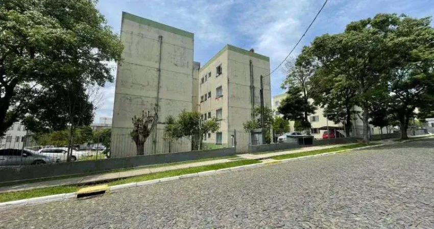 Apartamento para alugar na Rua Horácio Antunes Mendes, Jardim Carvalho, Ponta Grossa
