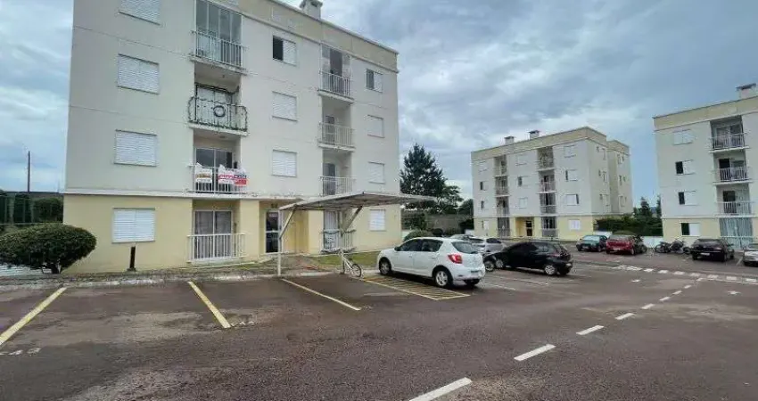 Apartamento com 2 quartos para alugar na Rua Januário de Napoli, Uvaranas, Ponta Grossa