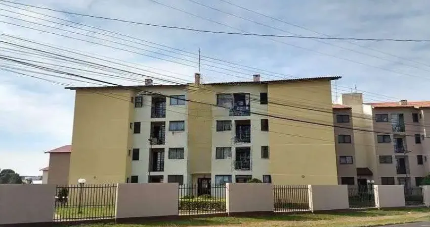 Apartamento com 2 quartos para alugar na Rua Teixeira Mendes, Uvaranas, Ponta Grossa