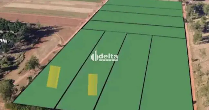 Área disponível para locação e venda 20.000 m² na br 365 sentido ituiutaba de uberlândia-mg